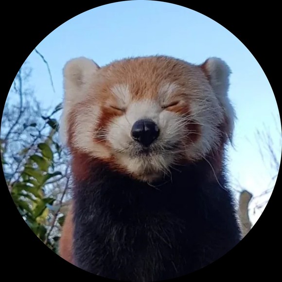 redpanda2000